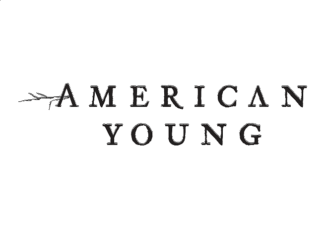 American Young logo